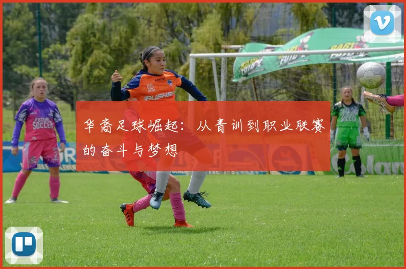 华裔足球崛起：从青训到职业联赛的奋斗与梦想