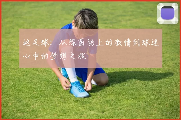这足球：从绿茵场上的激情到球迷心中的梦想之旅